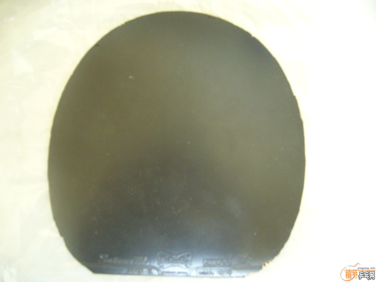 ֱ�����淴������3+EL��100����