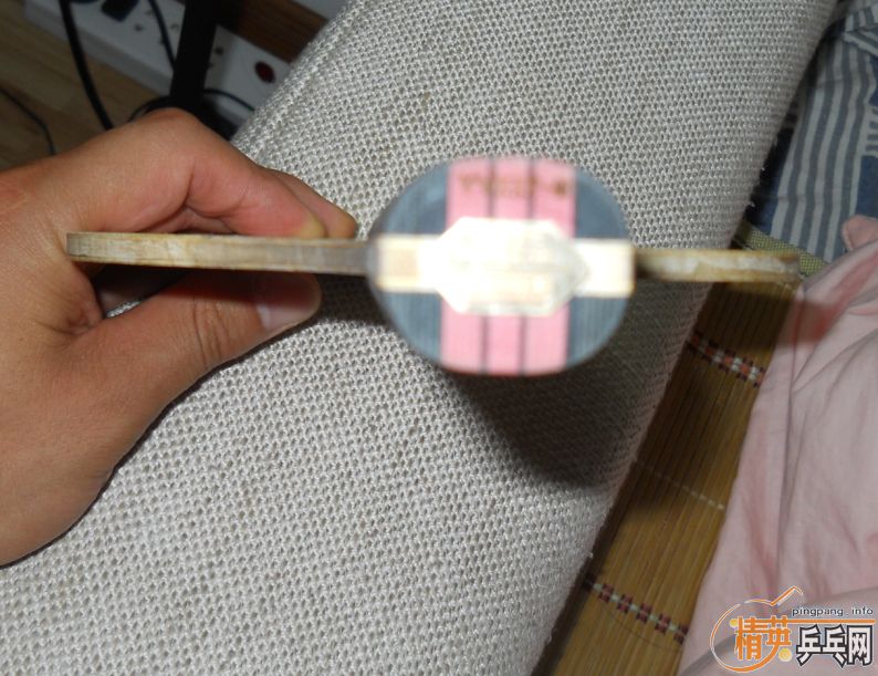 ��stľ������С����