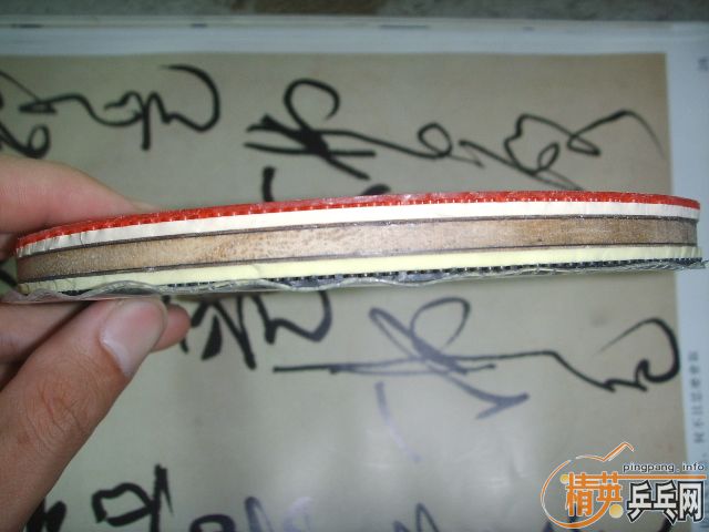 ʶ���ĸ��������ˣ�������RUTIS������280���졣