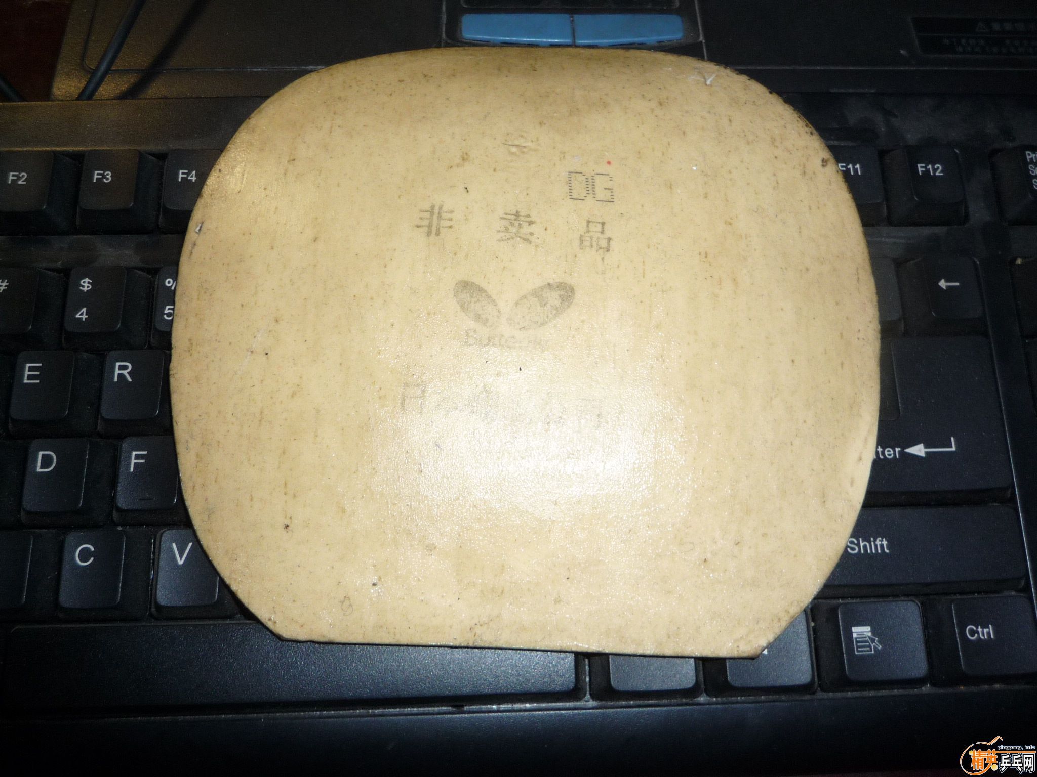 LZ ,�������