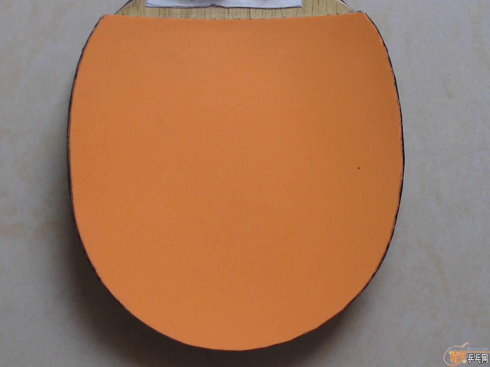 �����������׽�