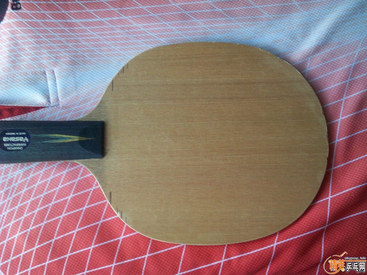 300���ҳϹ���ͽ�