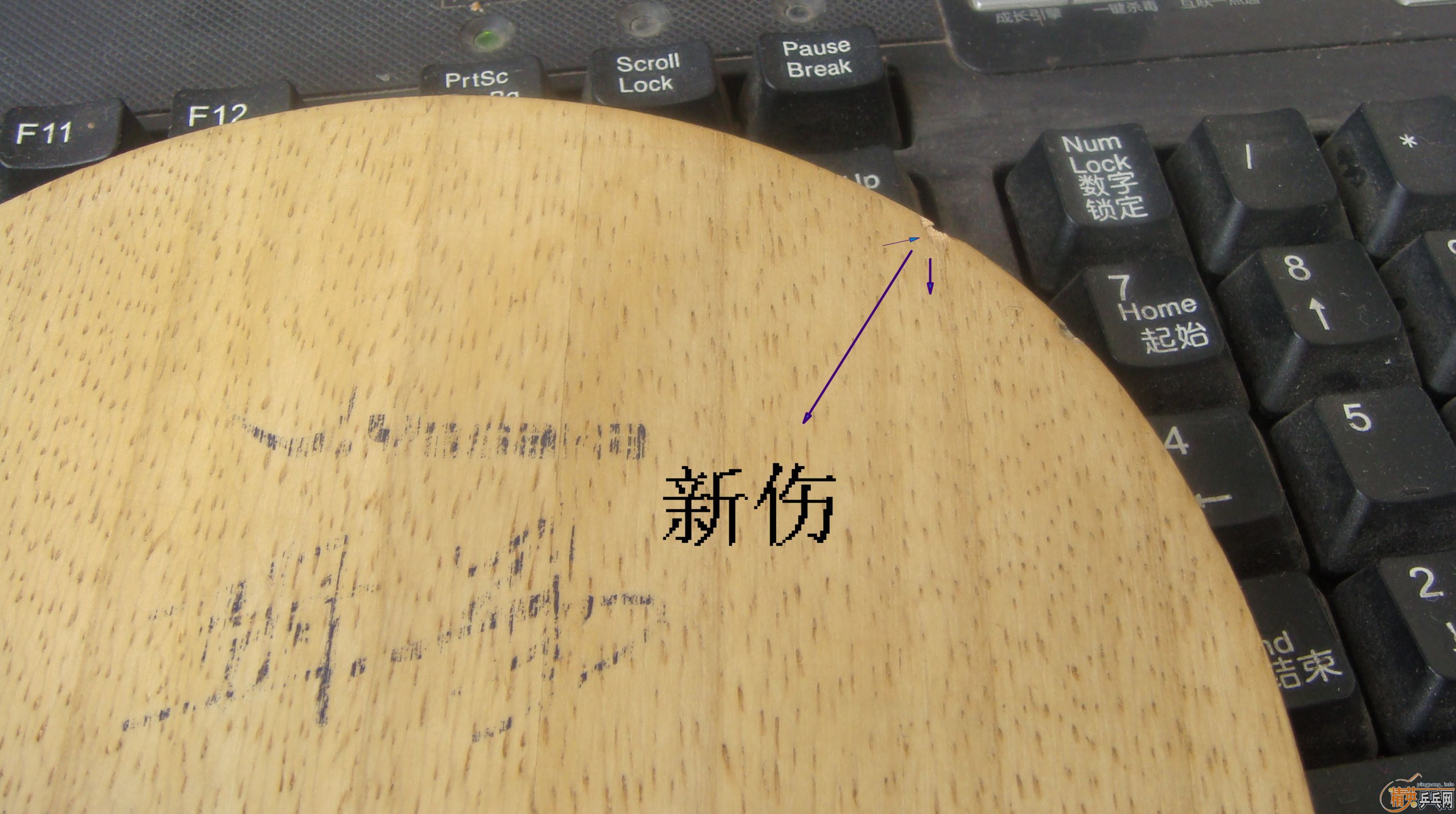 �������ڣ����麫��