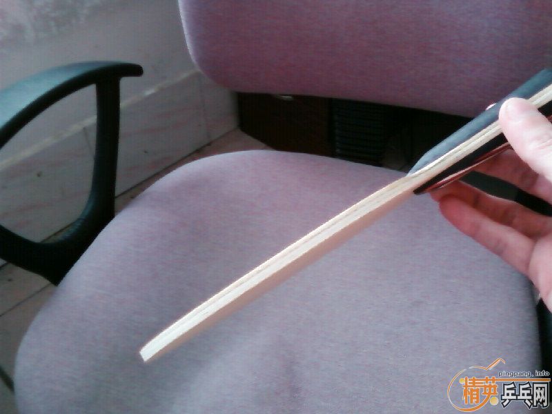 ���350Ԫ��9.9��ŷ����˹̼��