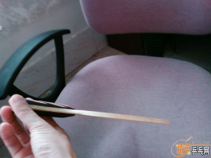 ���350Ԫ��9.9��ŷ����˹̼��