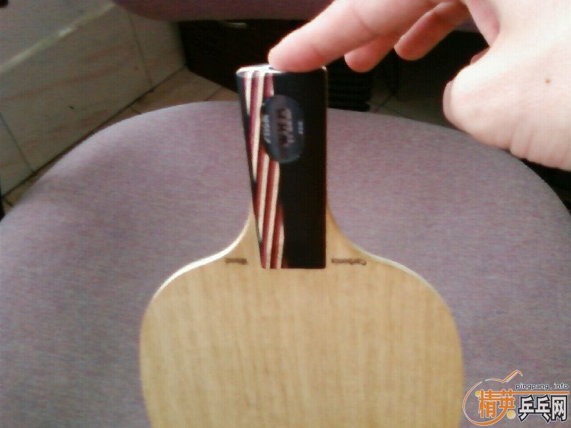 ���350Ԫ��9.9��ŷ����˹̼��