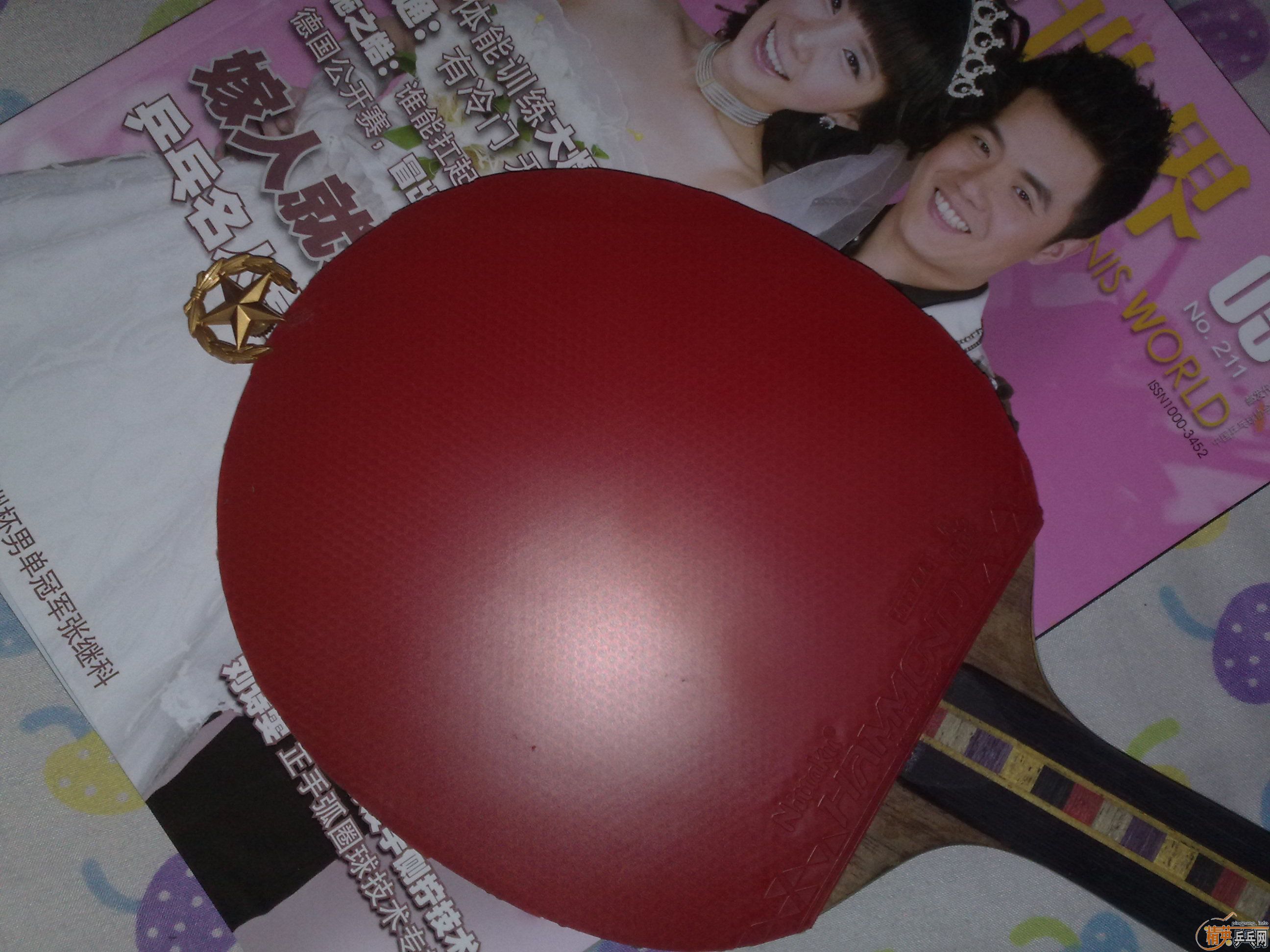 [��ͼ] ���������������