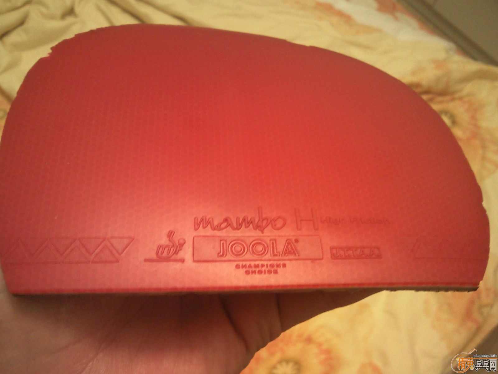 ���³�83��9�º�ڣ���һ��5��ǰ�ĺ�ˮ��