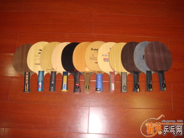 ֧���������ɺ��Ľ�Ƥ