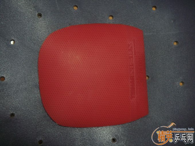 [ע��]����9���µ��׽� ������Ҫ����ϵQQ782810975