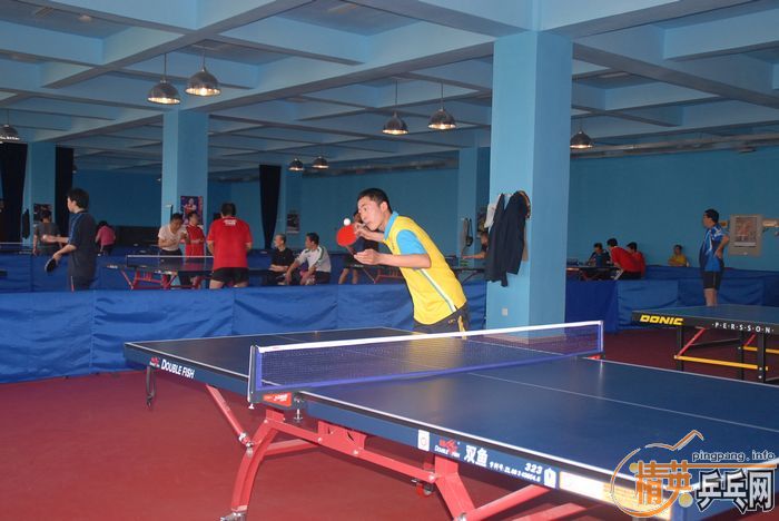 [����]��Ӣ�����ൺƹ�Ѿ��ֲ�����������������ʵ