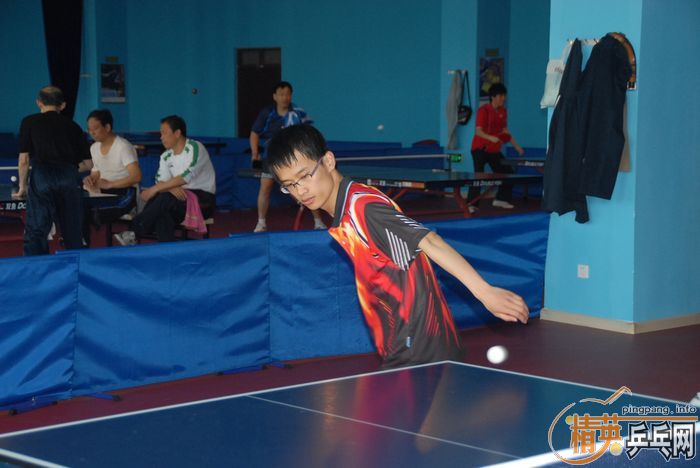 [����]��Ӣ�����ൺƹ�Ѿ��ֲ�����������������ʵ