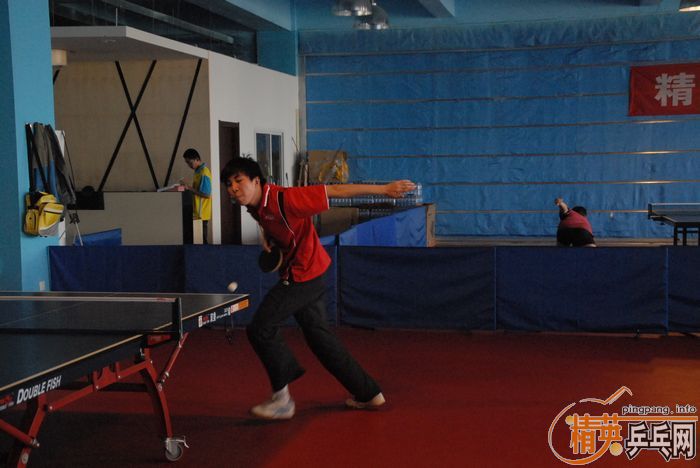 [����]��Ӣ�����ൺƹ�Ѿ��ֲ�����������������ʵ