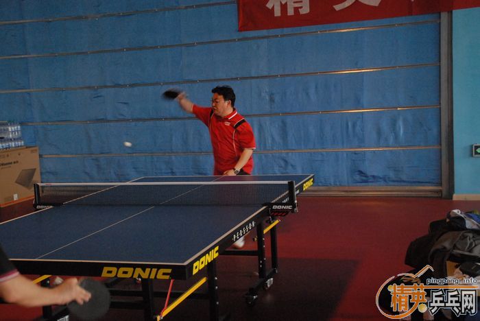 [����]��Ӣ�����ൺƹ�Ѿ��ֲ�����������������ʵ