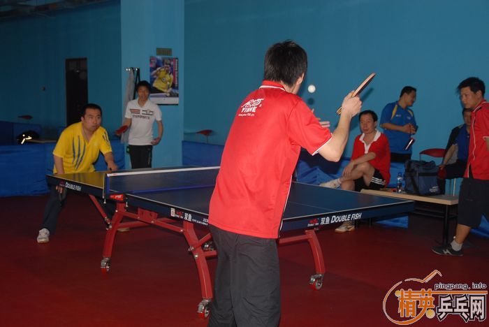 [����]��Ӣ�����ൺƹ�Ѿ��ֲ�����������������ʵ