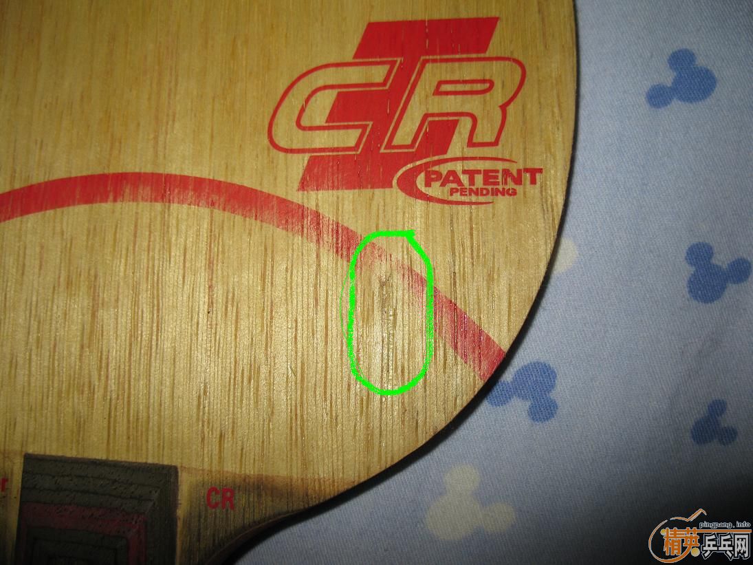 200���ʳ�˹�Ͽ�CL-CR��� ��FL)