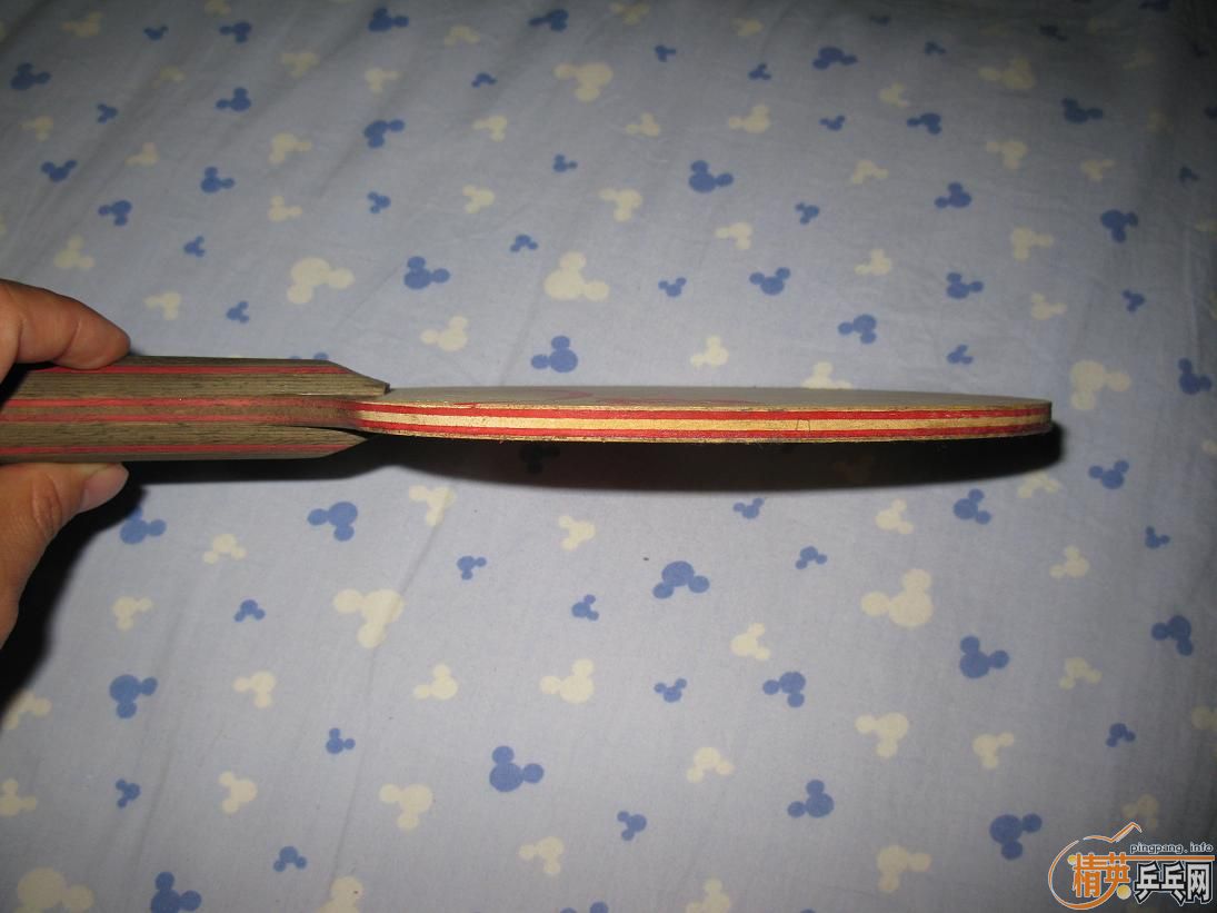 200���ʳ�˹�Ͽ�CL-CR��� ��FL)