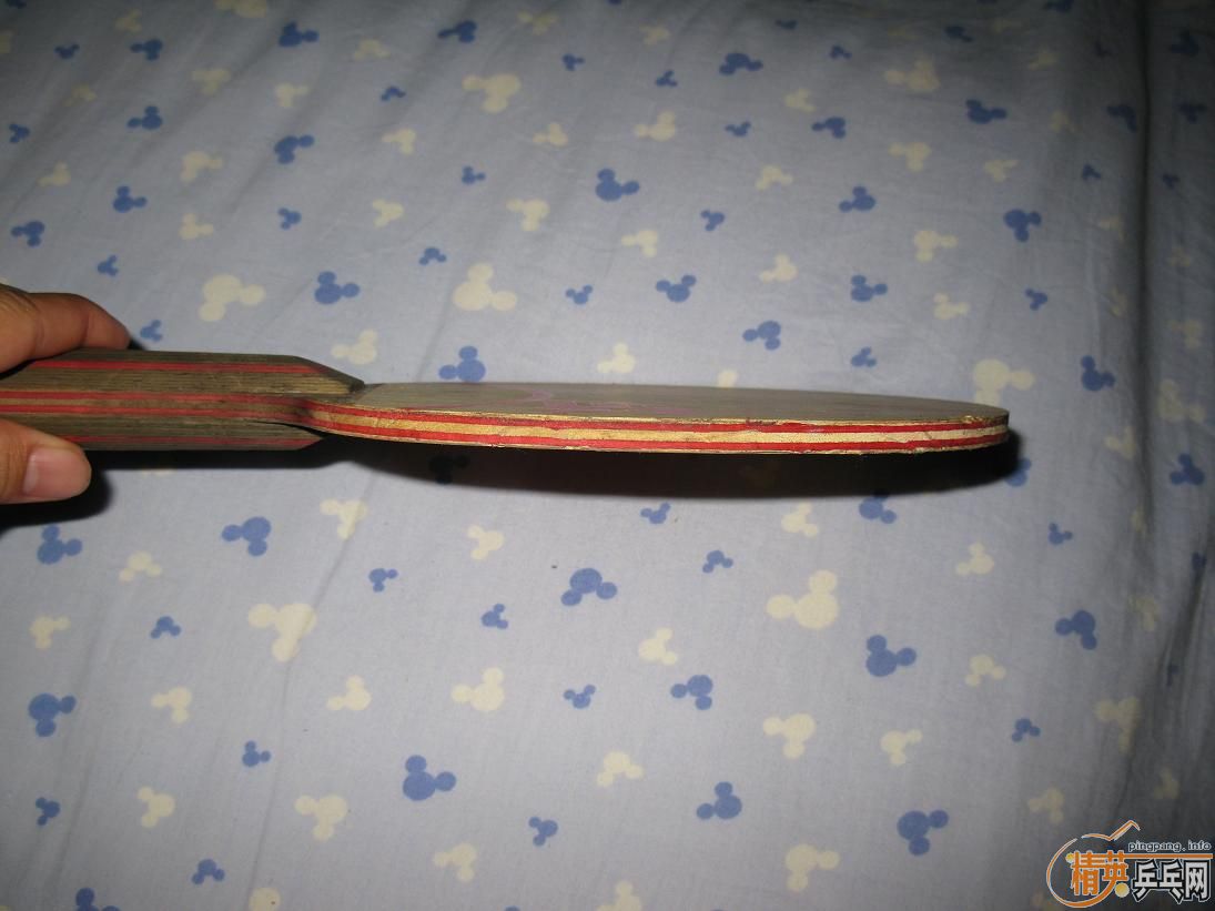 200���ʳ�˹�Ͽ�CL-CR��� ��FL)