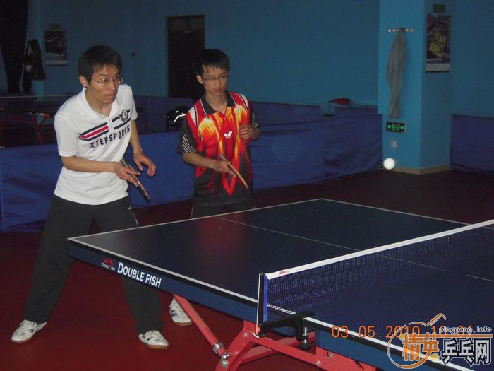 [����]��Ӣ�����ൺƹ�Ѿ��ֲ�����������������ʵ