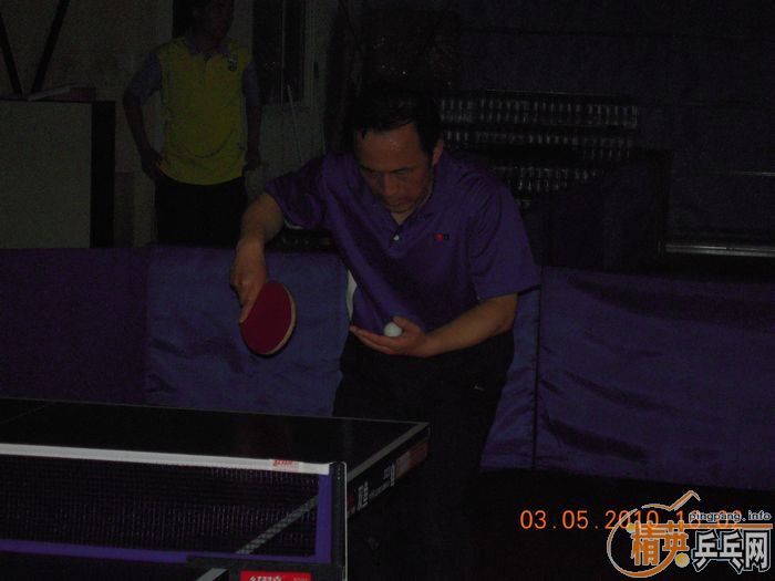 [����]��Ӣ�����ൺƹ�Ѿ��ֲ�����������������ʵ