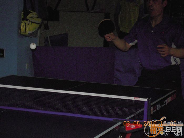 [����]��Ӣ�����ൺƹ�Ѿ��ֲ�����������������ʵ