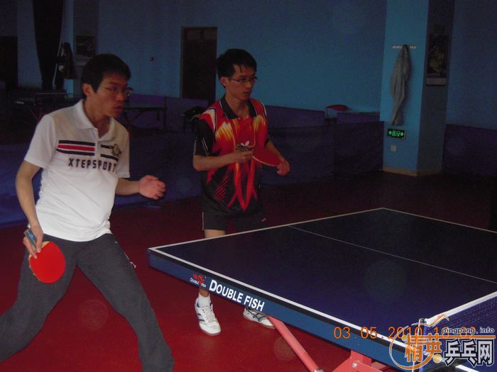 [����]��Ӣ�����ൺƹ�Ѿ��ֲ�����������������ʵ