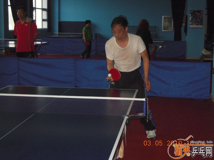 [����]��Ӣ�����ൺƹ�Ѿ��ֲ�����������������ʵ