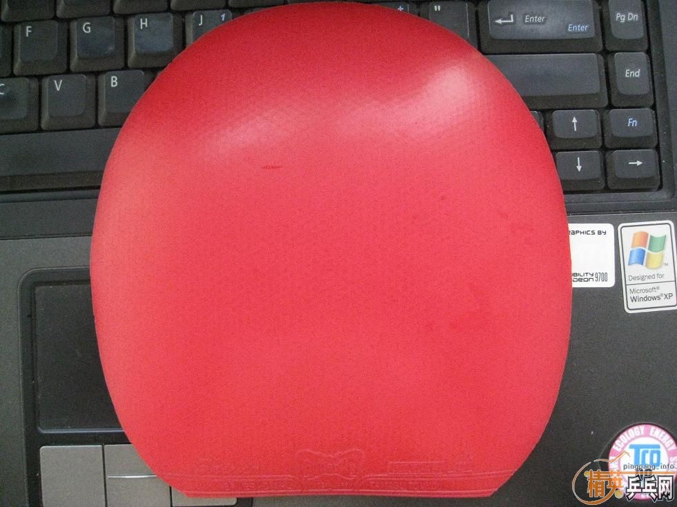 ˹���֡����ͽ�̤