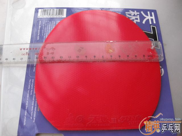 6�ų��µĽ�Ƥ��