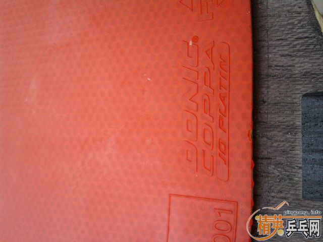 9.8���������������߻�