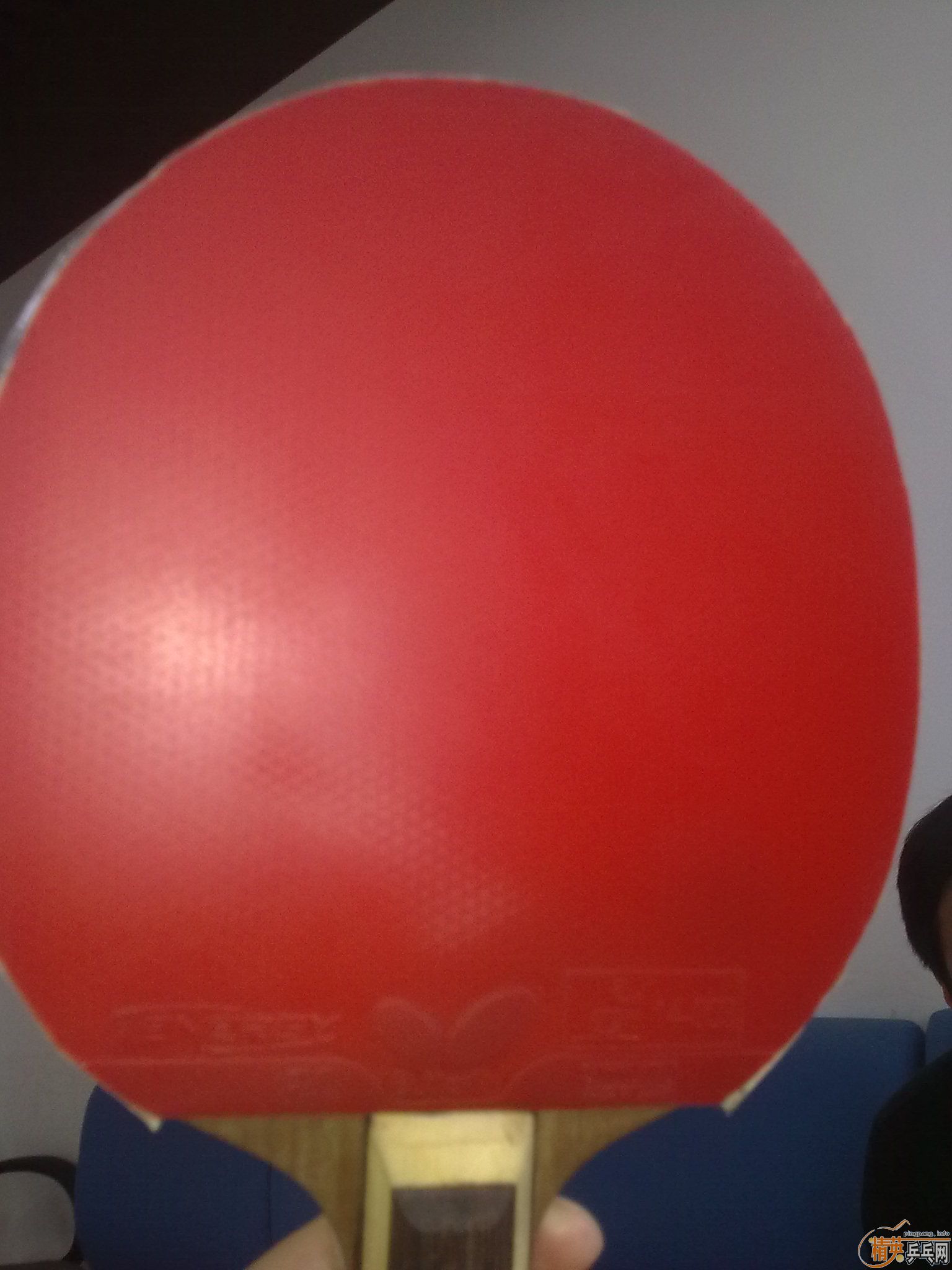 rutis st ������ӡ ���� t64