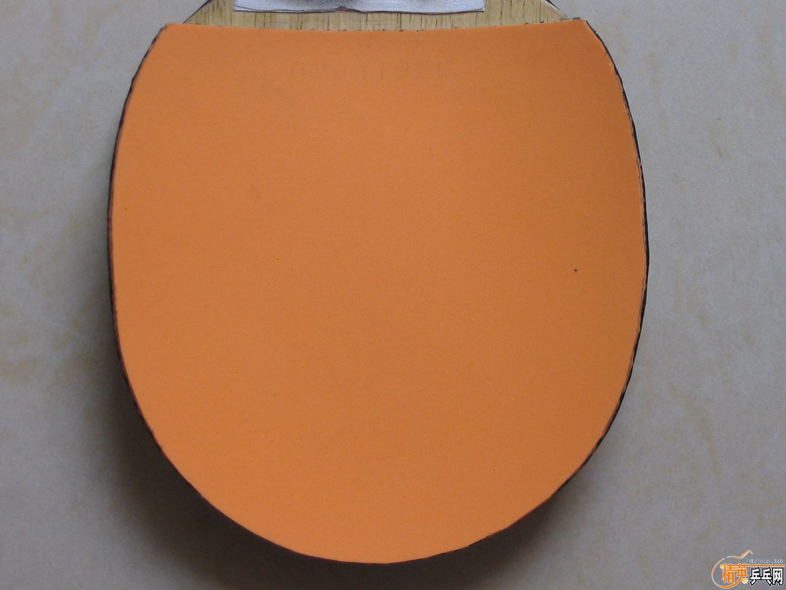 ���������׽��������е�����