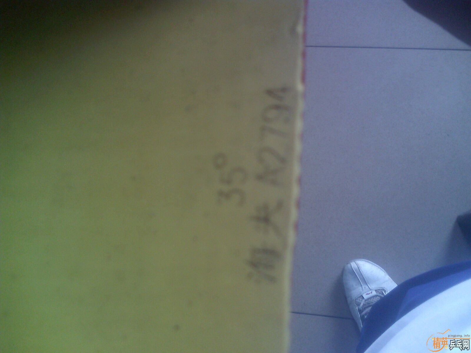 ��һ�ž��º������