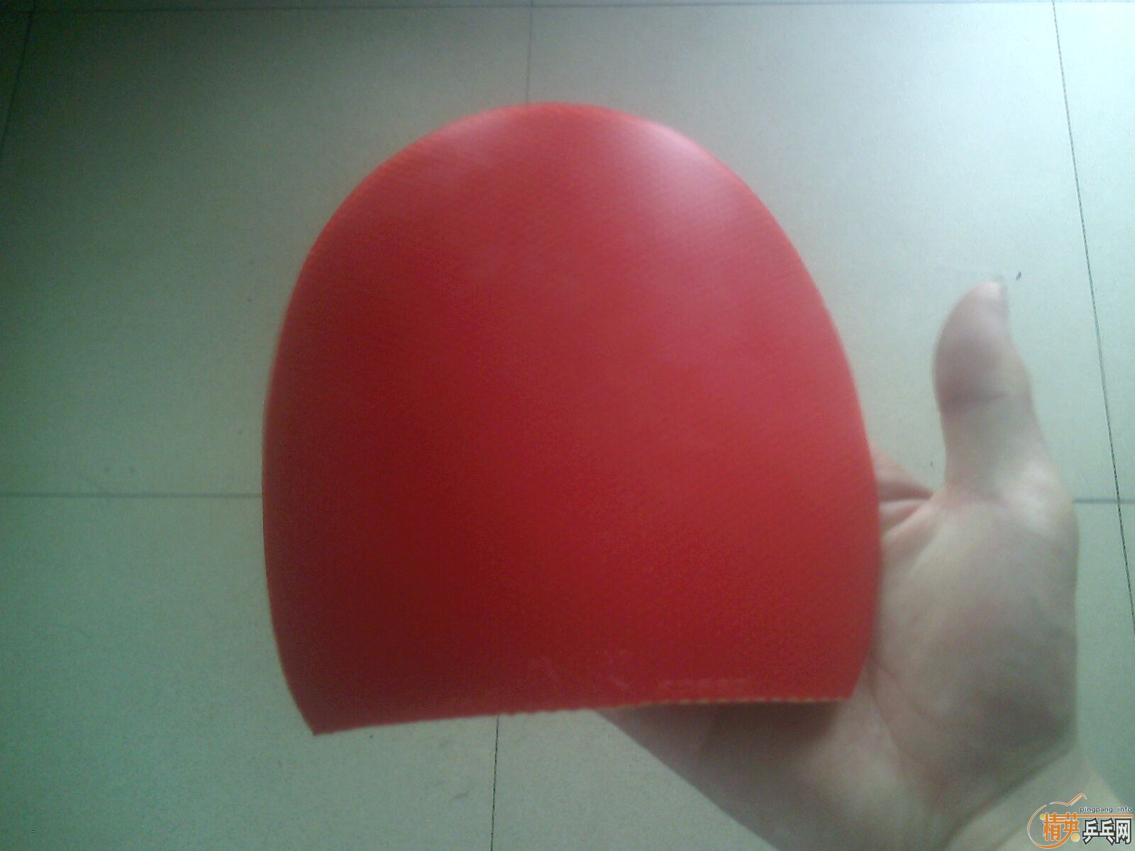 ��һ�ž��º������