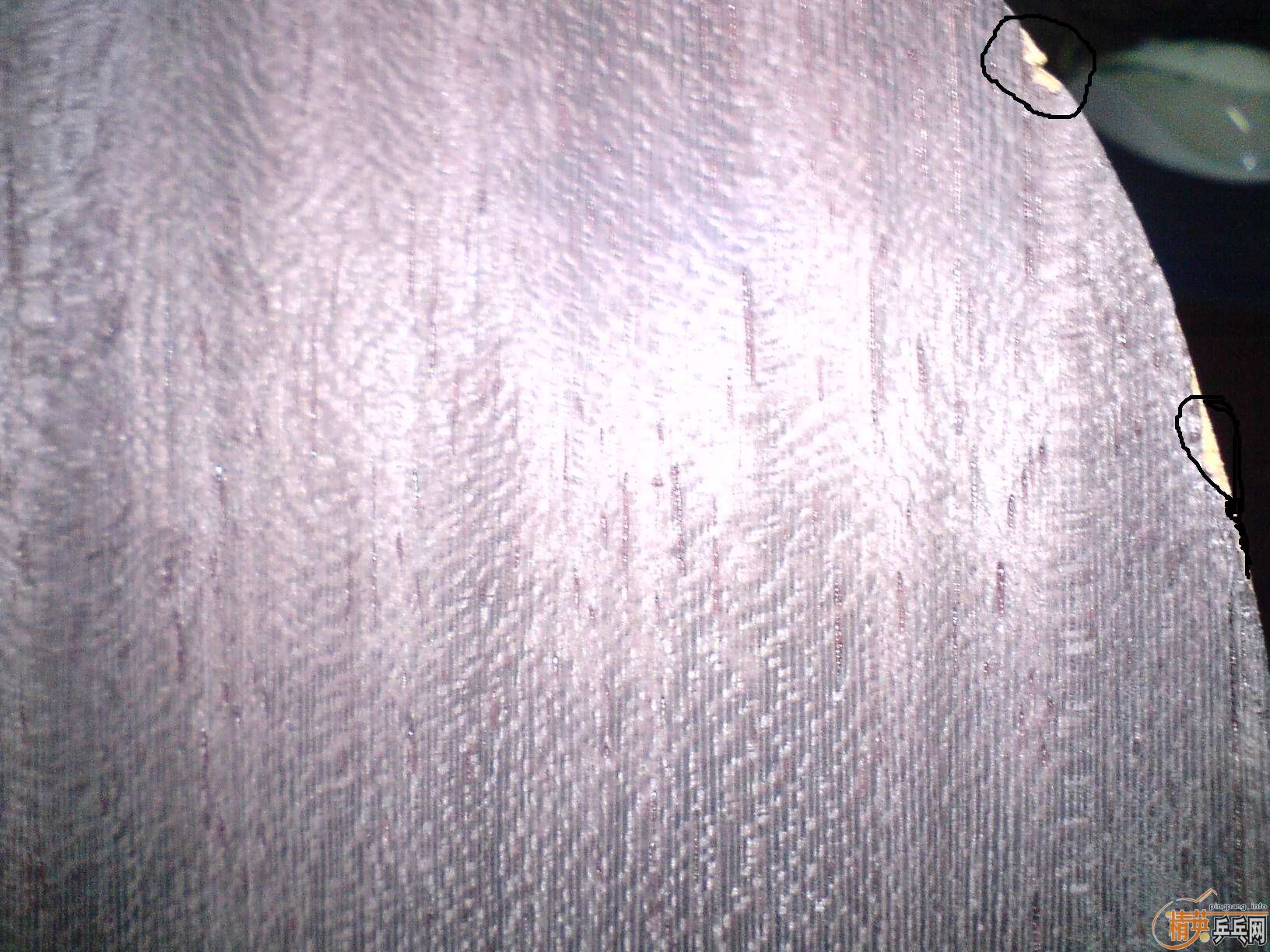 ��9���л����FL����������������·��450Ԫ���죩