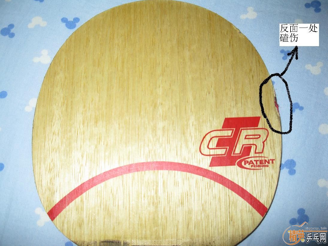 200���ʳ�˹�Ͽ�CL-CR��� ��FL)