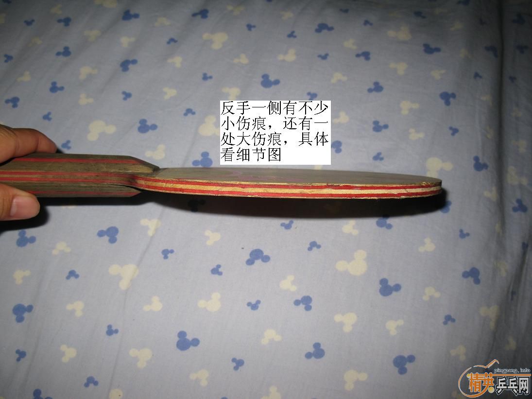 200���ʳ�˹�Ͽ�CL-CR��� ��FL)