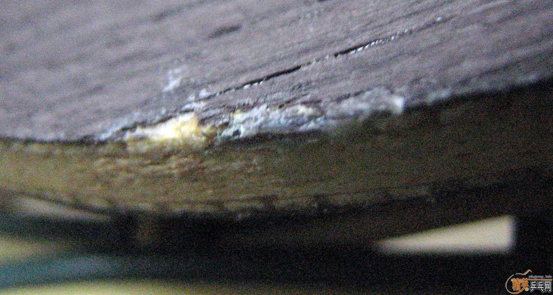 �����������ѳ�һ�����µö��ƵĿ����260Ԫ���졣