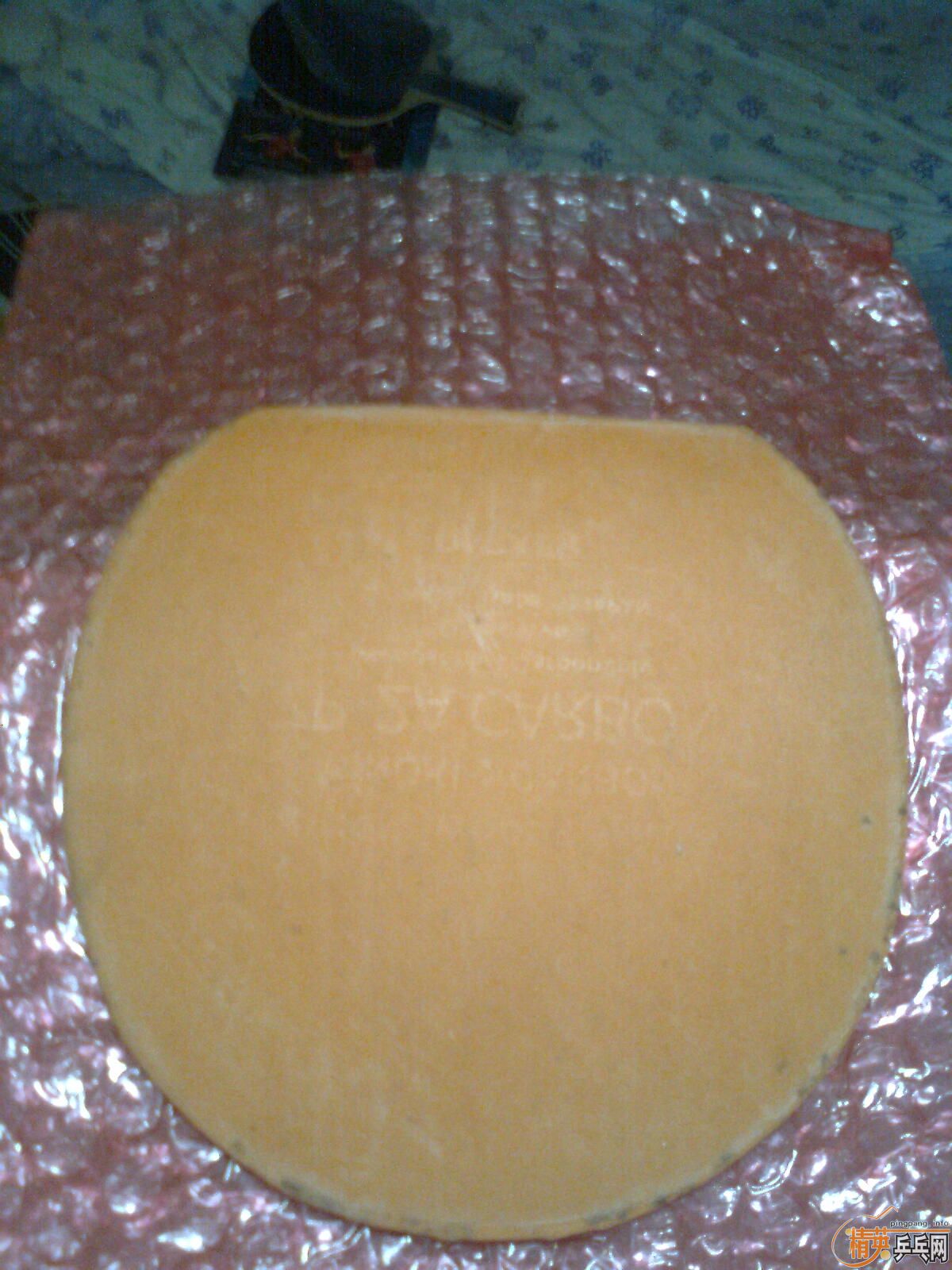 ��3��729sst�׽�