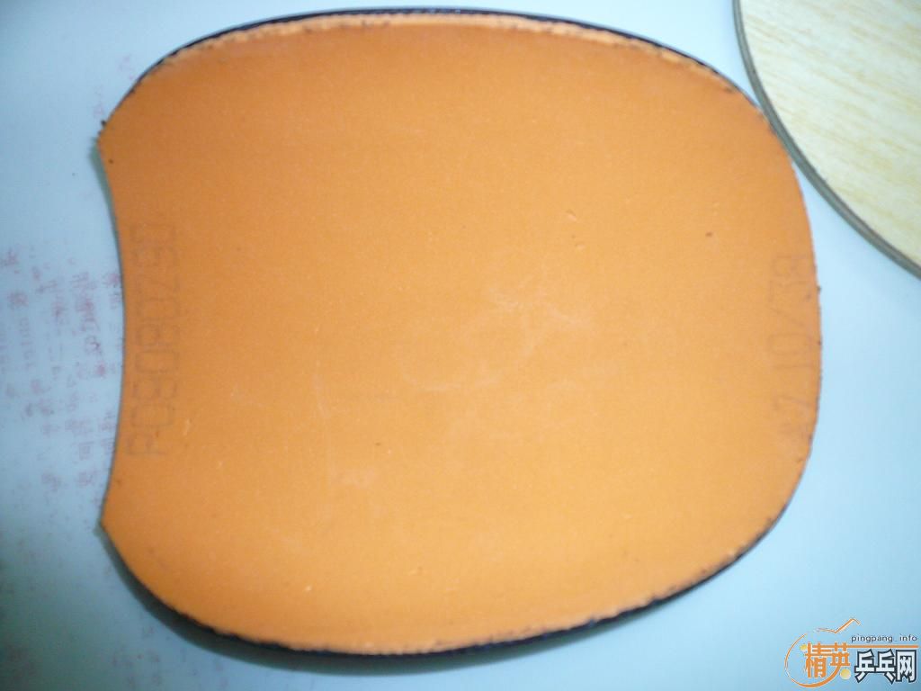 ��������ɵ�+NEO������ʡ��38��2.1�񣩻���Ƥ