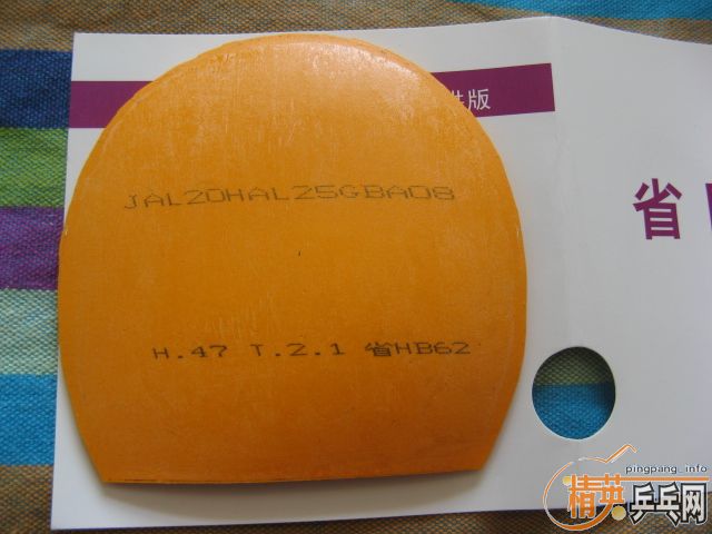 ��729����08ʡ���ع�