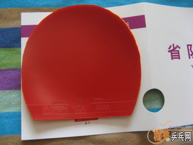 ��729����08ʡ���ع�