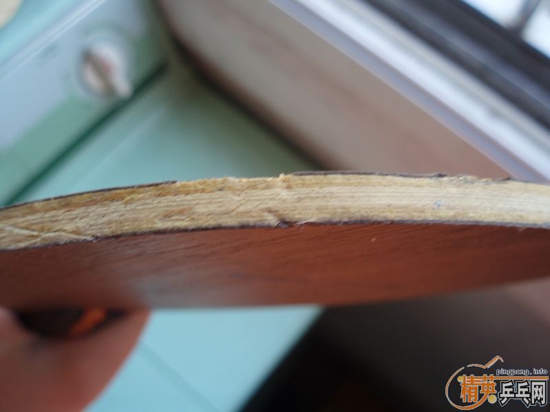 [ԭ��]���۴�˵����������ANV-WL��������߼�UP