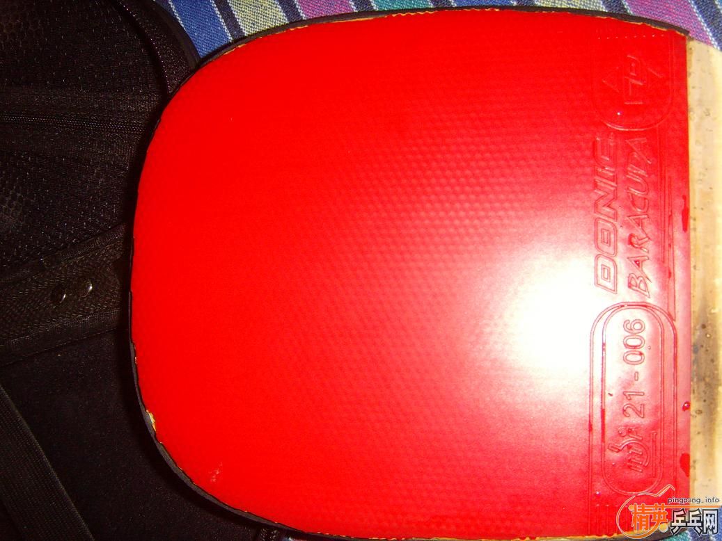 900Ԫ��9���´��90��8�³�DONIC-BARACUDA����