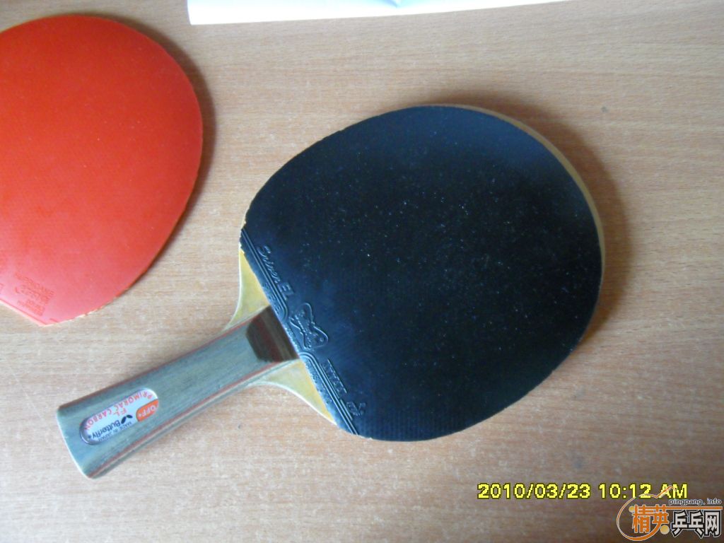 ����̼��FL��300����ݡ����������Ž�Ƥ��