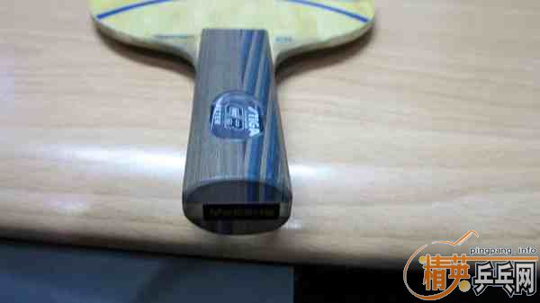 ������yasaka,stiga