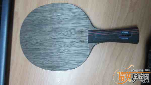 ������yasaka,stiga