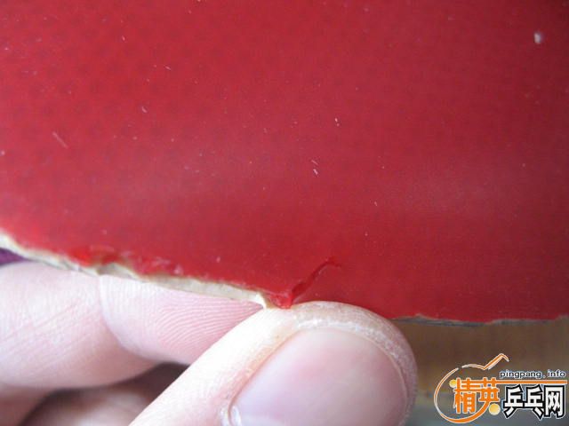 ��ROXON 450    80����֧����