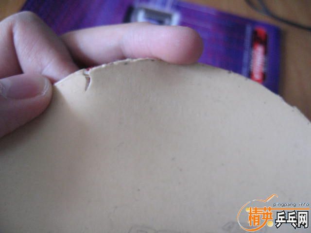 ��ROXON 450    80����֧����