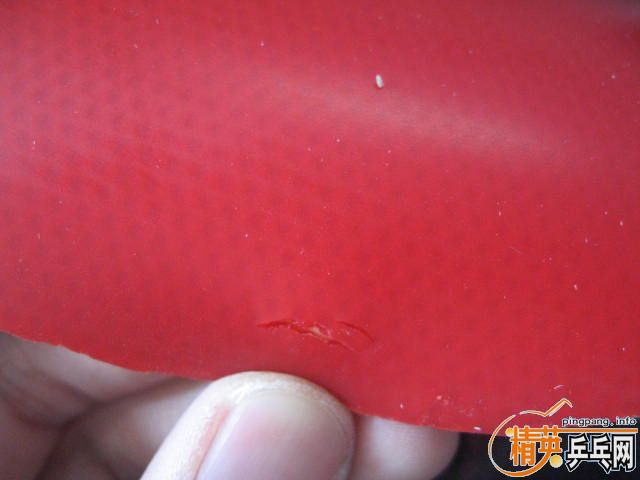 ��ROXON 450    80����֧����